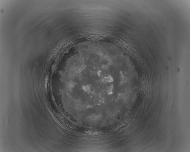 X0000084580742200703091836