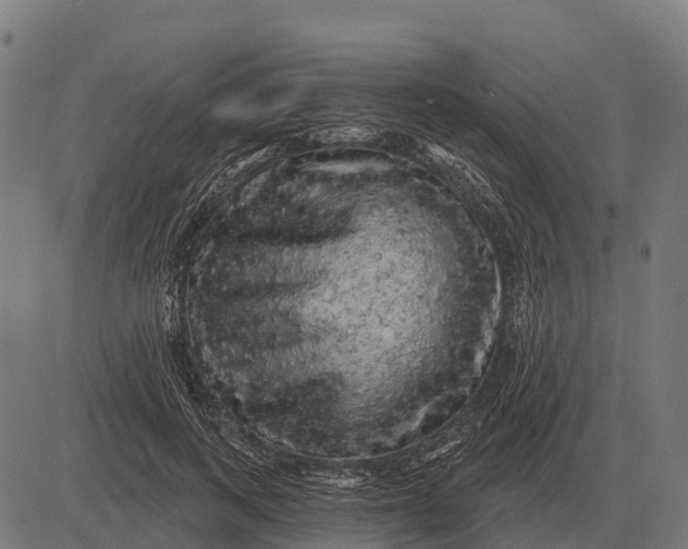 X0000084580743200703091836