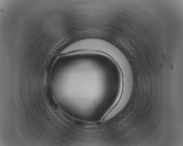 X0000084580744200703091836