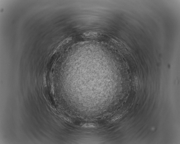 X0000084580751200703091836