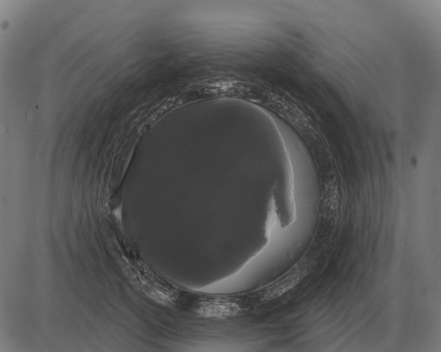 X0000084580754200703091836