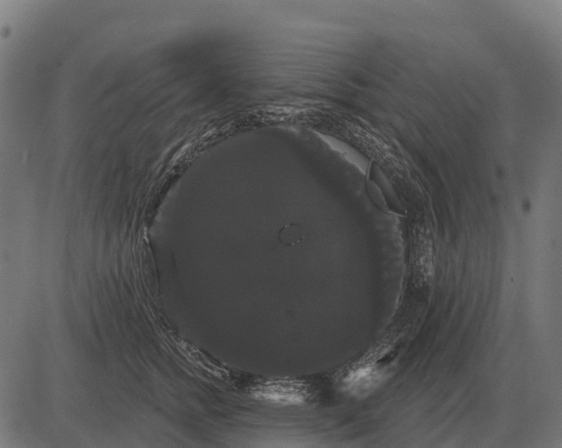 X0000084580758200703091836