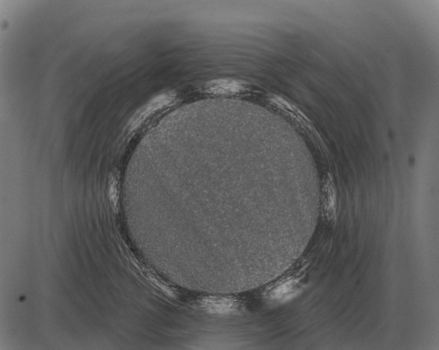X0000084580762200703091836