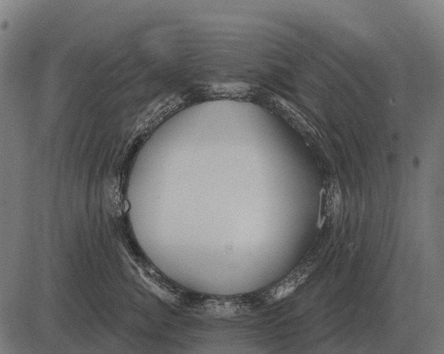 X0000084580764200703091837