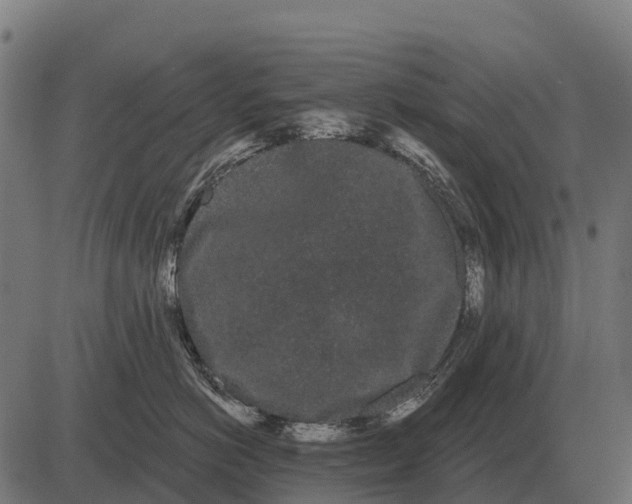 X0000084580766200703091837