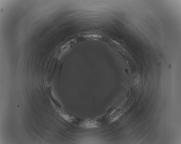 X0000084580767200703091837