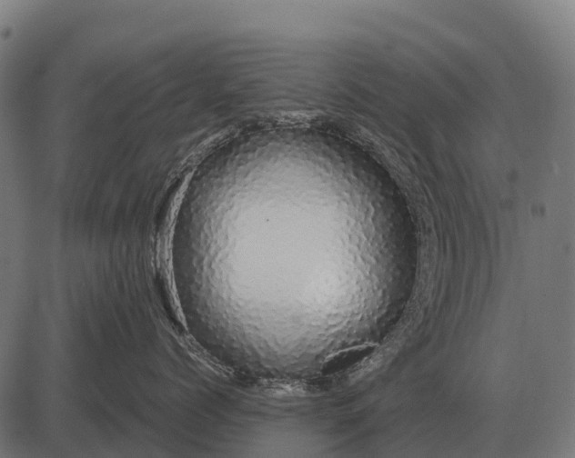 X0000084580768200703091837
