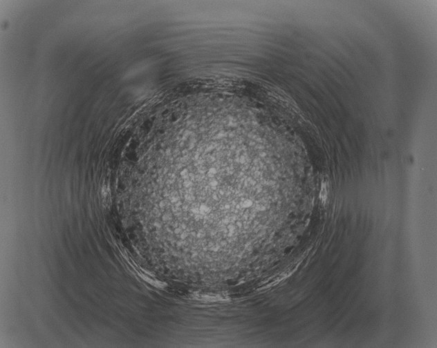 X0000084580771200703091836