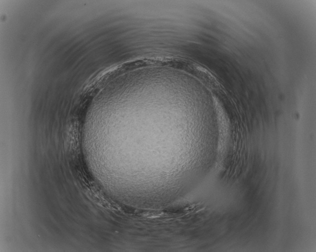 X0000084580773200703091836