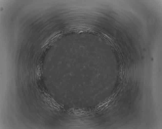 X0000084580774200703091836
