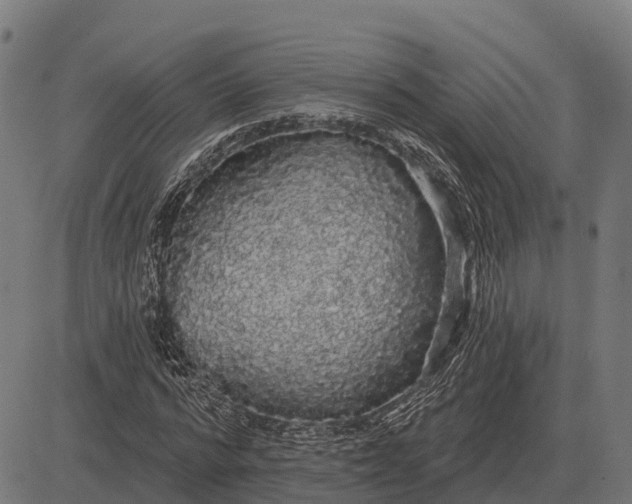 X0000084580776200703091836