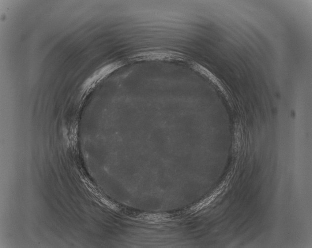 X0000084580778200703091836