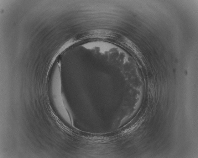 X0000084580779200703091836