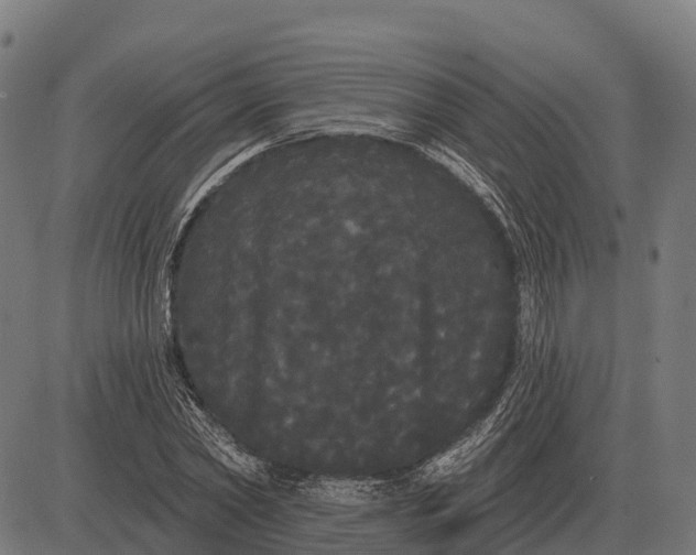 X0000084580782200703091836