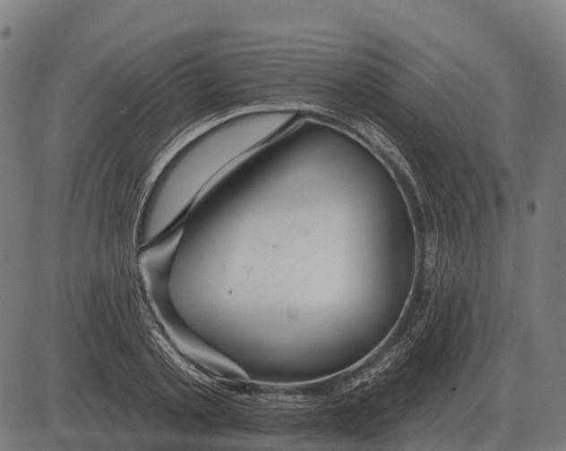 X0000084580789200703091835