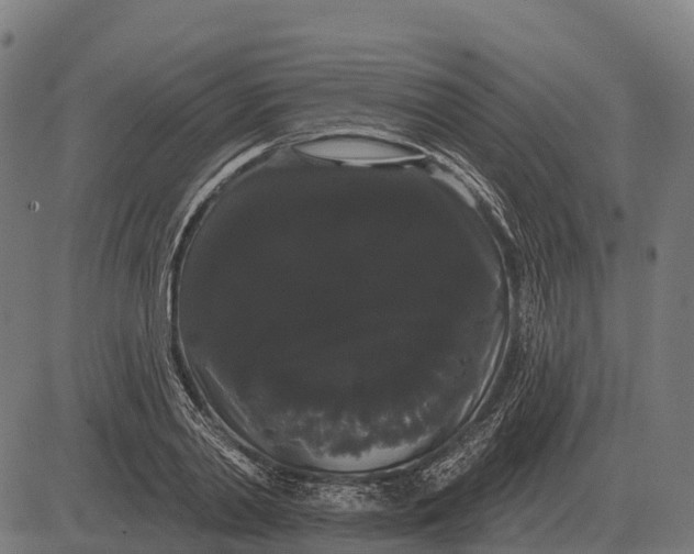X0000084580790200703091835