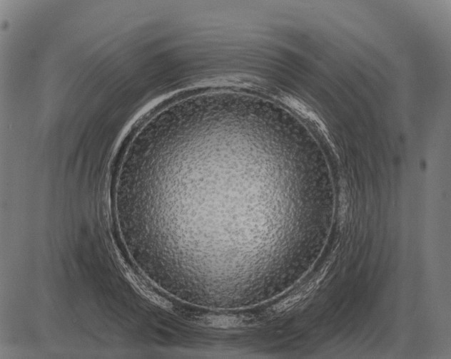 X0000084580792200703091835