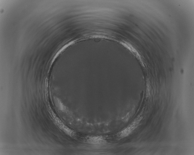 X0000084580798200703091835