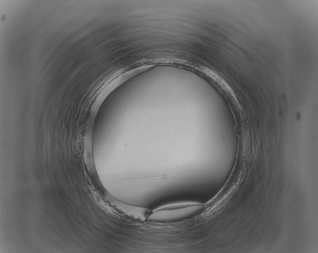 X0000084580801200703091835