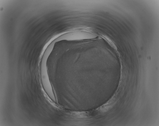 X0000084580816200703091835