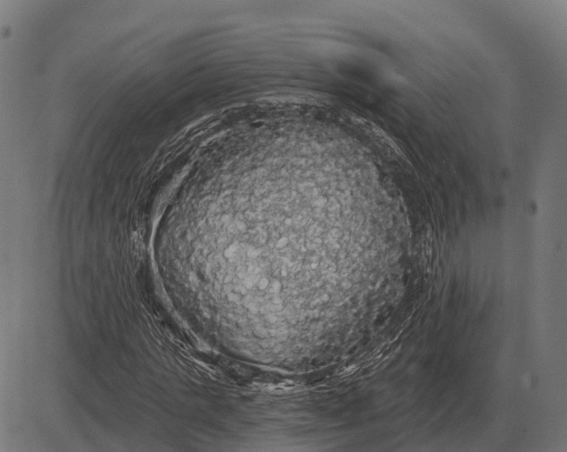 X0000084580821200703091834
