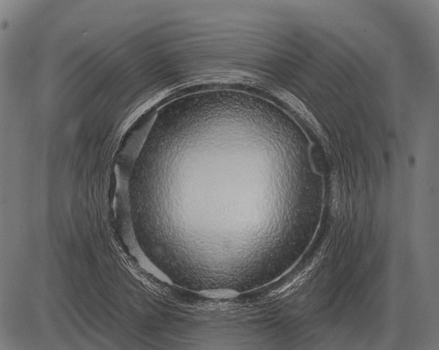 X0000084580834200703091834