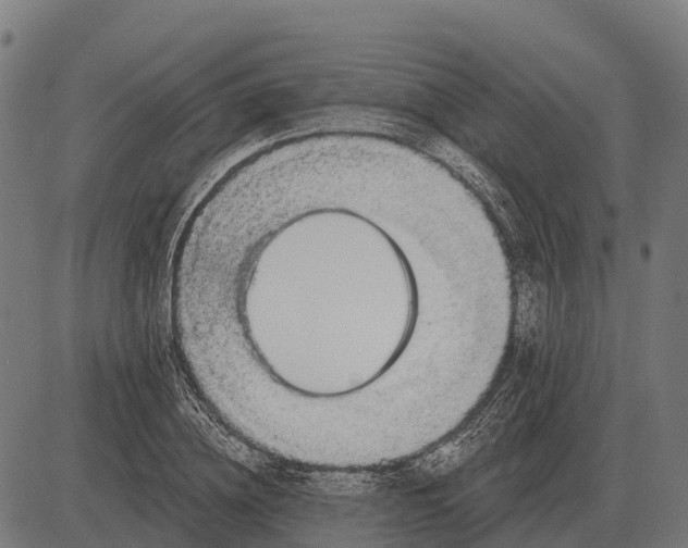 X0000084580836200703091834