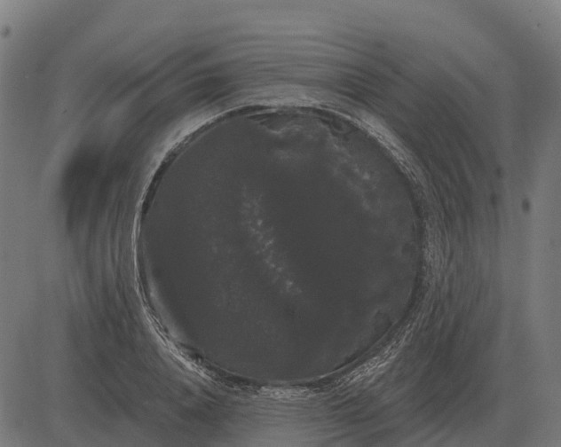 X0000084580840200703091835