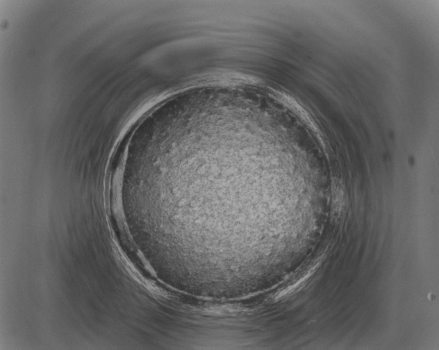 X0000084580843200703091835