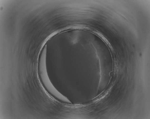 X0000084580853200703091835