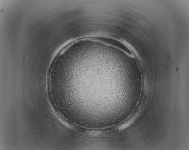 X0000084580854200703091835