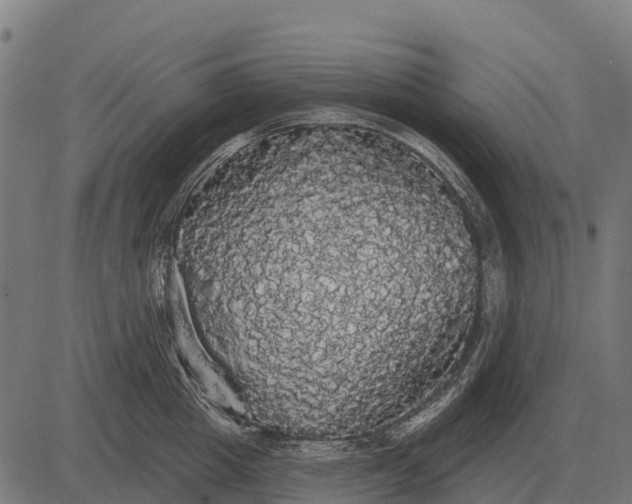 X0000084580857200703091835