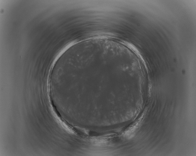 X0000084580859200703091835
