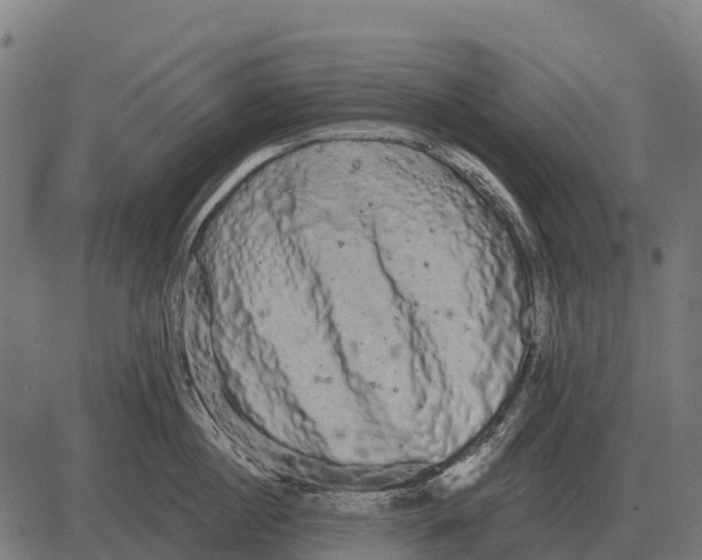 X0000084580860200703091835