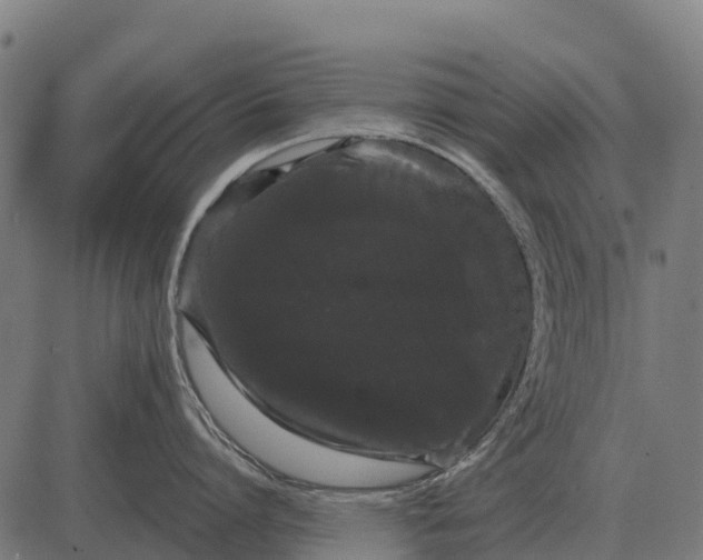 X0000084580864200703091835