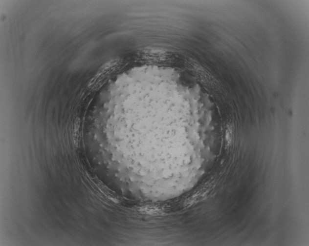 X0000084580867200703091834