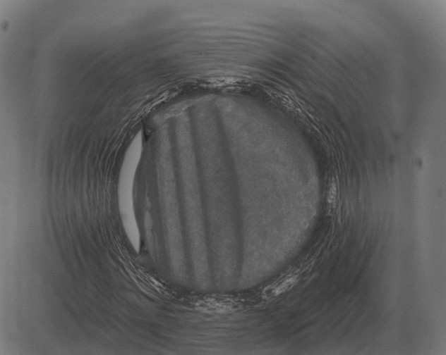 X0000084580868200703091834