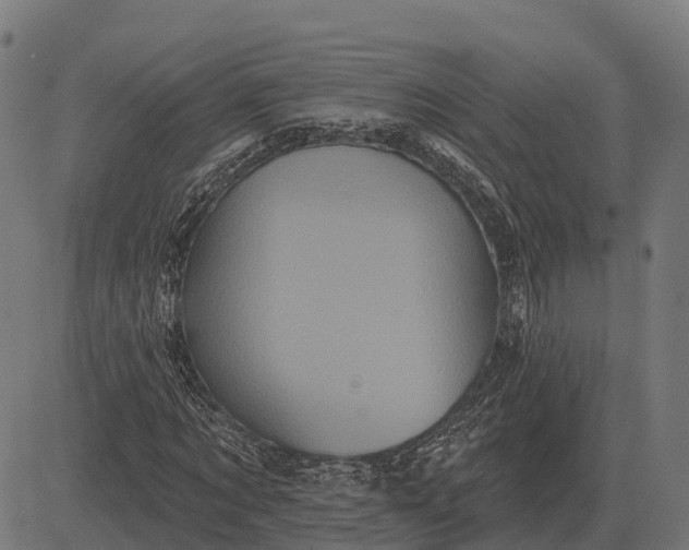 X0000084580869200703091834