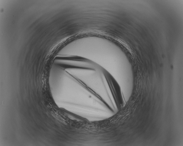 X0000084580872200703091834