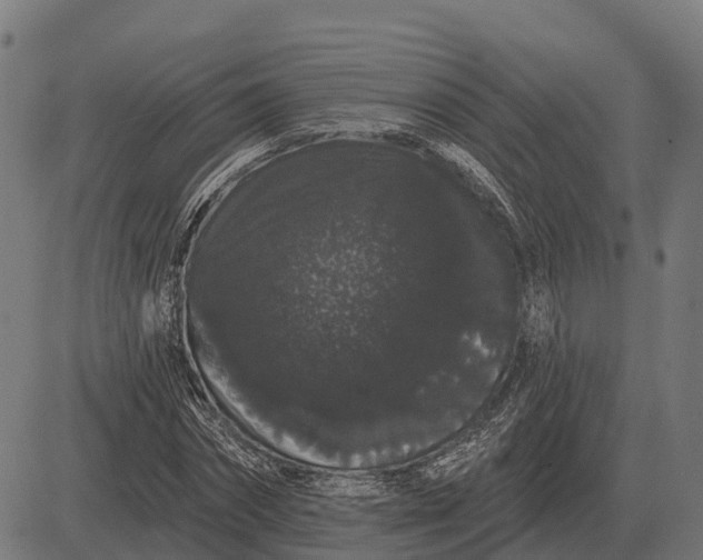X0000084580874200703091834