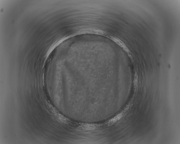 X0000084580877200703091834