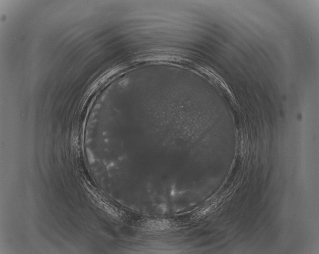 X0000084580882200703091834
