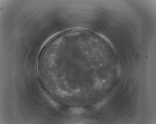 X0000084580886200703091834