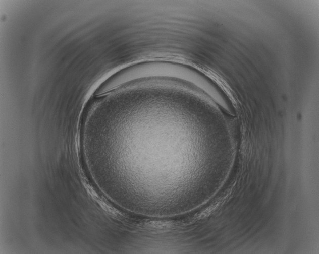 X0000084580888200703091834