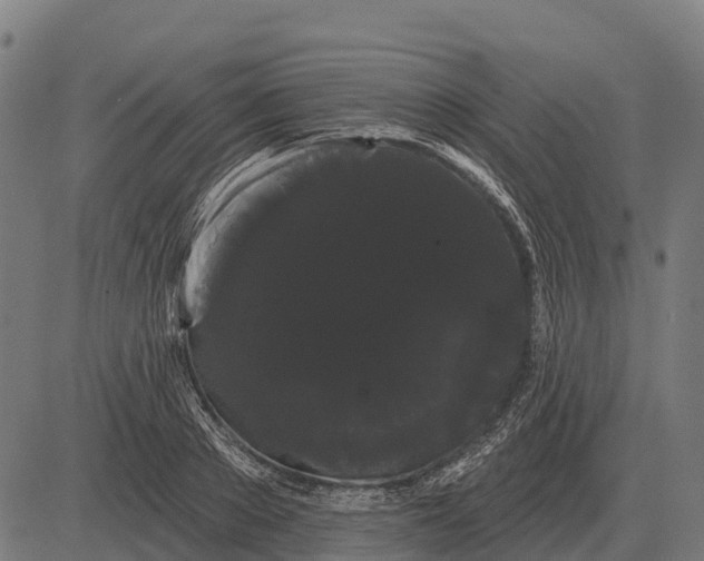 X0000084580889200703091834