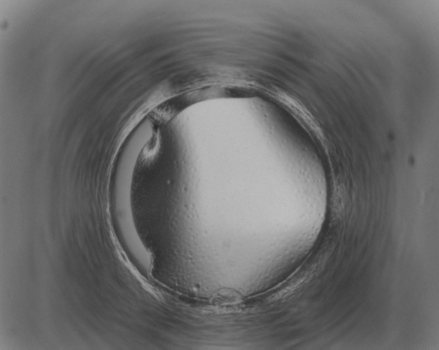 X0000084580898200703091834