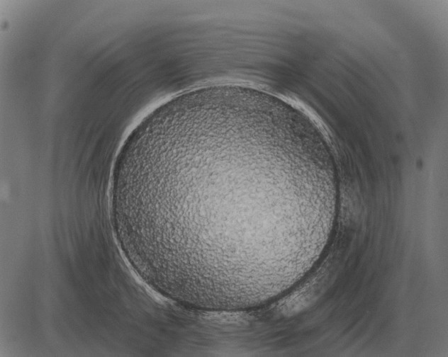 X0000084580902200703091834