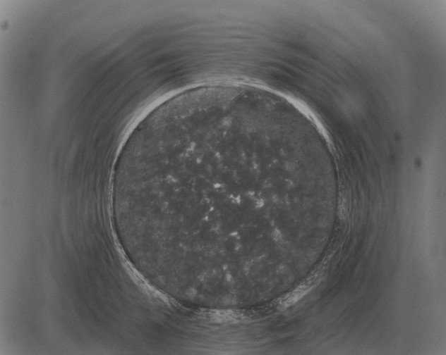 X0000084580903200703091834