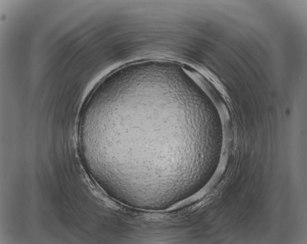 X0000084580904200703091834