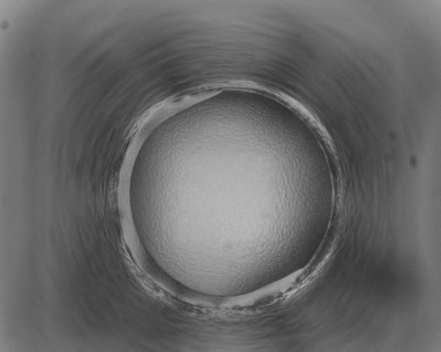 X0000084580905200703091833